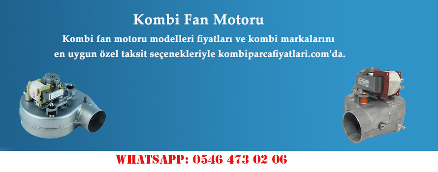 Kombi Fan Motoru