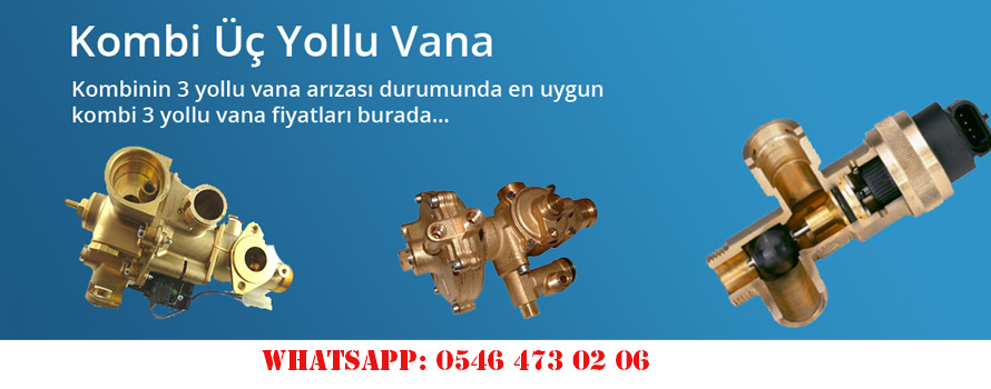 Kombi Üç Yollu Vana